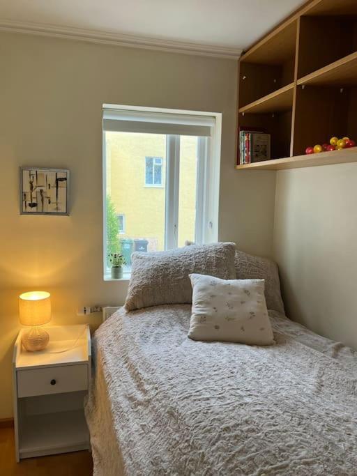 Charming 3 Bedroom Apartment Akureyri Ngoại thất bức ảnh