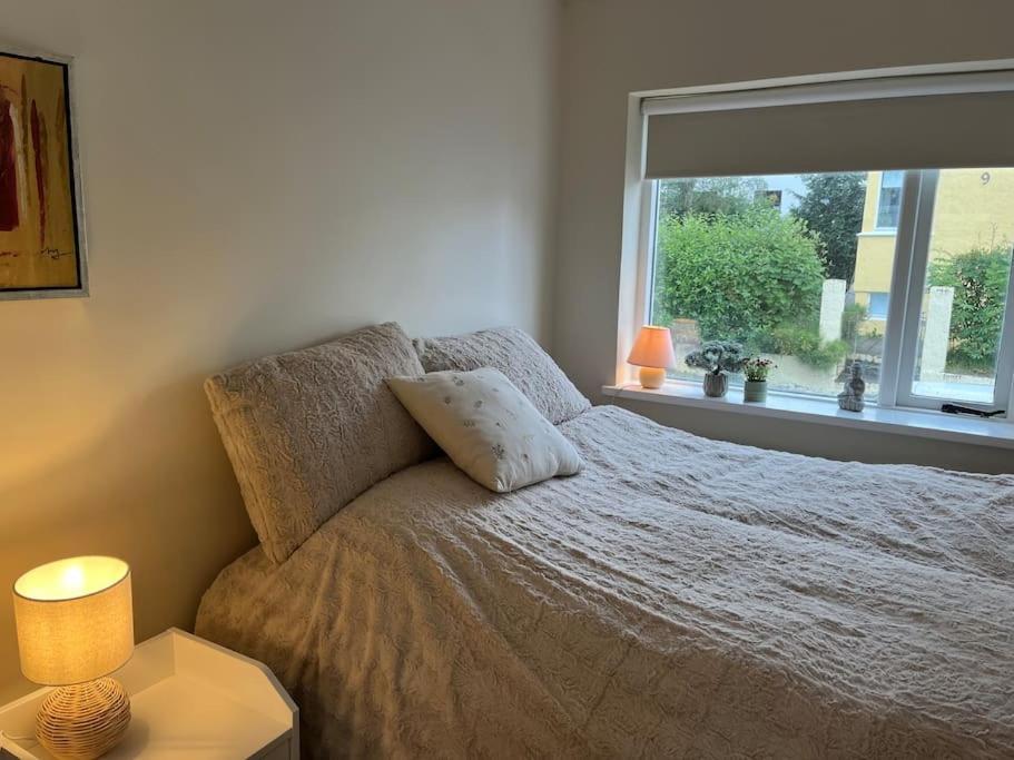 Charming 3 Bedroom Apartment Akureyri Ngoại thất bức ảnh